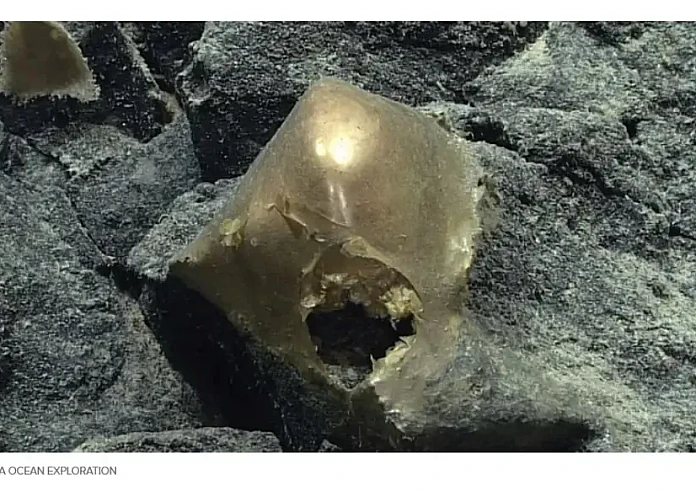 Μυστηριώδης χρυσή σφαίρα βρέθηκε στον πυθμένα του ωκεανού στα ανοικτά των ακτών της Αλάσκας
