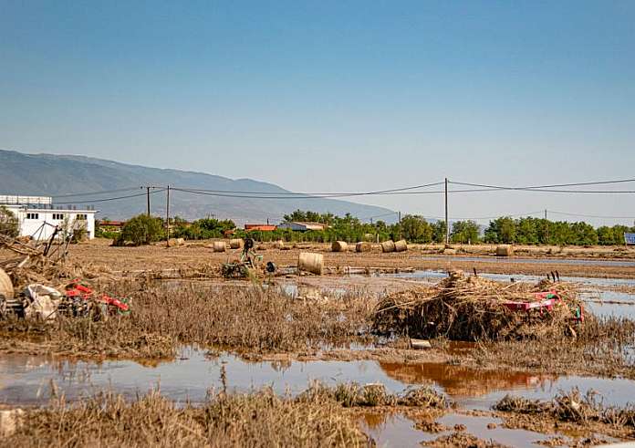 Θεσσαλία: Πέντε επιβεβαιωμένα κρούσματα λεπτοσπείρωσης - 8 νέες νοσηλείες λόγω γαστρεντερίτιδας