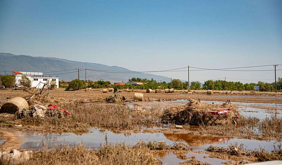 Θεσσαλία: Πέντε επιβεβαιωμένα κρούσματα λεπτοσπείρωσης - 8 νέες νοσηλείες λόγω γαστρεντερίτιδας