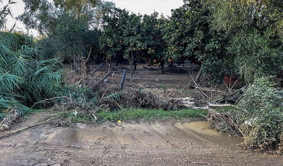 Αγροτικό τιμολόγιο με 0,093 ευρώ ανά κιλοβατώρα: Πώς γίνεται η αίτηση