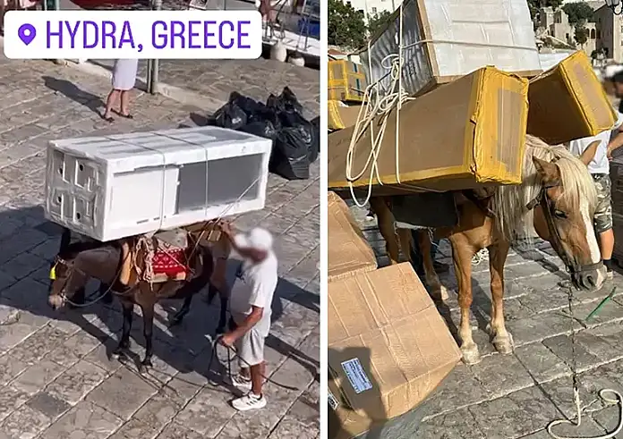 Δήμαρχος Ύδρας για τα υπερφορτωμένα γαϊδουράκια: Γίνεται 200 χρόνια στο νησί και δεν υπάρχει καμία παραβίαση