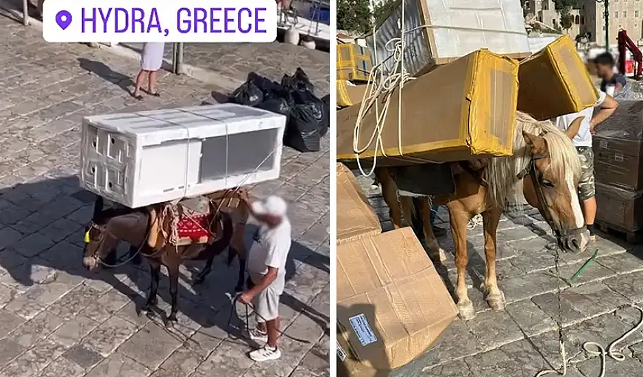 Δήμαρχος Ύδρας για τα υπερφορτωμένα γαϊδουράκια: Γίνεται 200 χρόνια στο νησί και δεν υπάρχει καμία παραβίαση