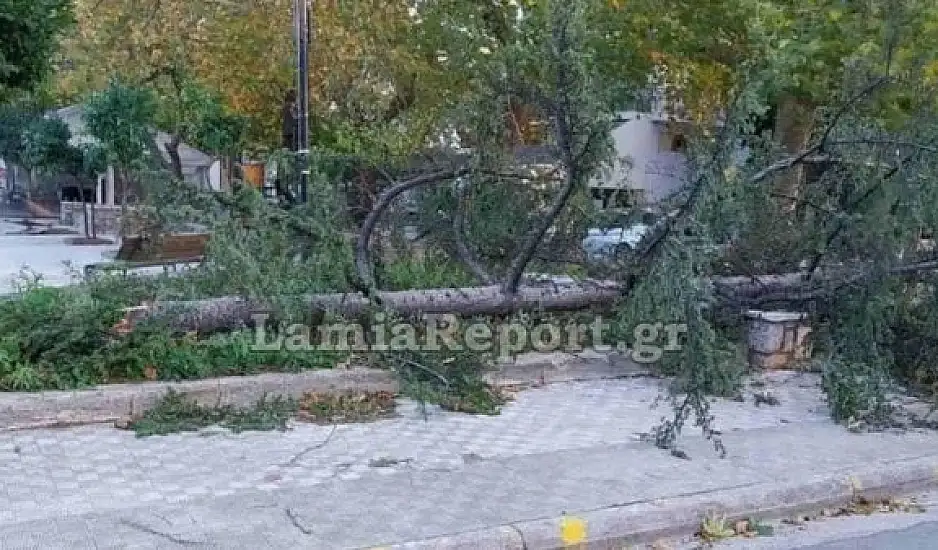 Λαμία: Ζημιές σε σπίτια και πτώσεις δέντρων προκάλεσαν οι ισχυροί άνεμοι