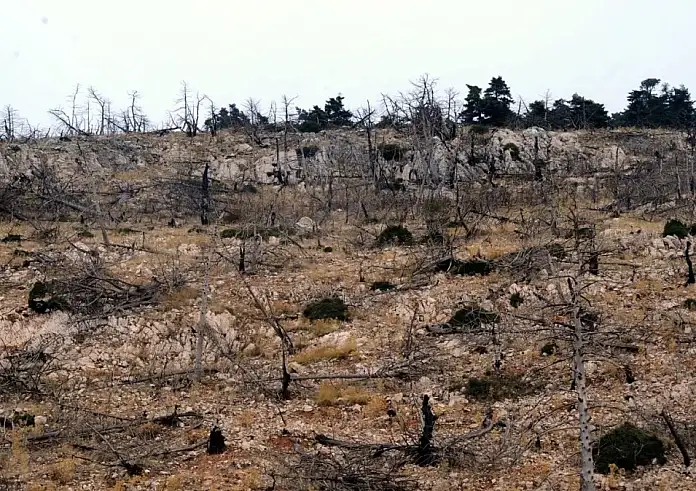 Μαλακάσα: Εγκληματική ενέργεια πίσω από τον θάνατο άνδρα που βρέθηκε σε χαράδρα