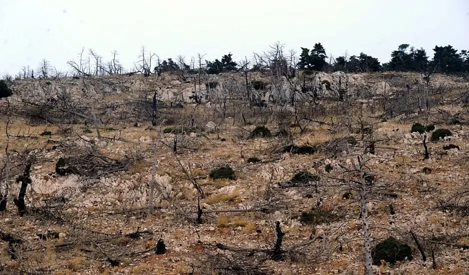 Μαλακάσα: Εγκληματική ενέργεια πίσω από τον θάνατο άνδρα που βρέθηκε σε χαράδρα