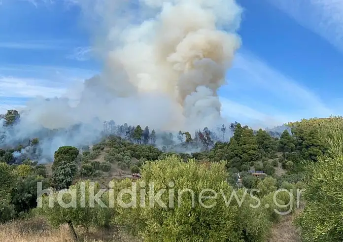 Μεγάλη φωτιά στη Χαλκιδική: Ήχησε το 112 Νοέμβρη μήνα