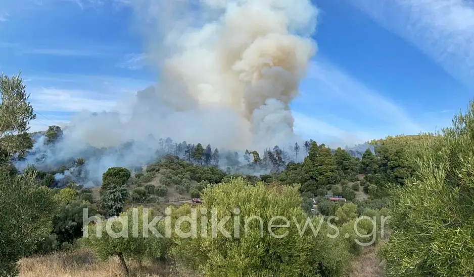 Μεγάλη φωτιά στη Χαλκιδική: Ήχησε το 112 Νοέμβρη μήνα