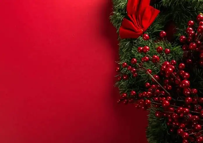 Γκι: 5 τρόποι για να το διατηρήσεις ζωντανό και μετά τις γιορτές