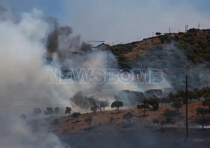 Φωτιά στην Κερατέα: Αστυνομικοί κουβαλούν γυναίκα και την απομακρύνουν από σπίτι που καίγεται - ΒΙΝΤΕΟ