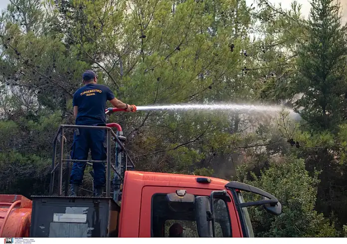 Φωτιά στη Χαλκιδική – Επί τόπου η Πυροσβεστική