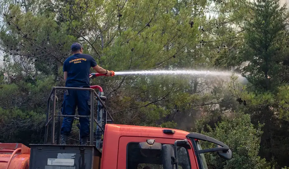 Φωτιά στη Χαλκιδική – Επί τόπου η Πυροσβεστική