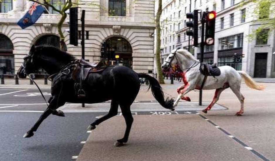 Λονδίνο: Αφηνιασμένα άλογα του Βασιλικού Ιππικού προκαλούν πανικό – Δείτε βίντεο