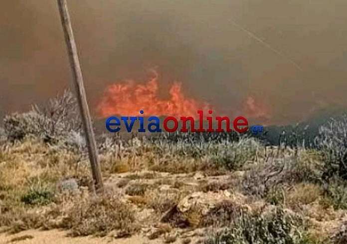 Φωτιά στην Κάρυστο: Εκκενώθηκαν τα χωριά Αμυγδαλιά και Πρινιά – Κινδυνεύουν σπίτια, ζώα και στάβλοι