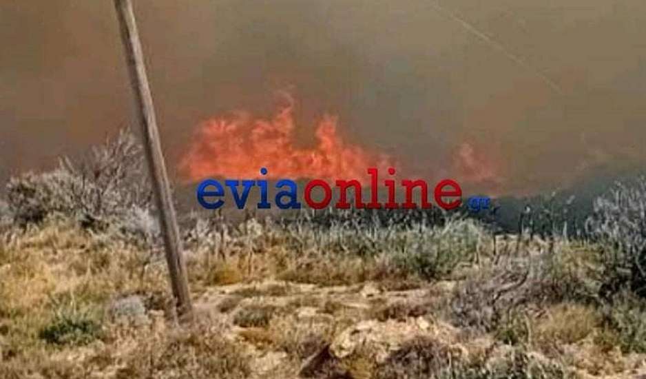 Φωτιά στην Κάρυστο: Εκκενώθηκαν τα χωριά Αμυγδαλιά και Πρινιά – Κινδυνεύουν σπίτια, ζώα και στάβλοι