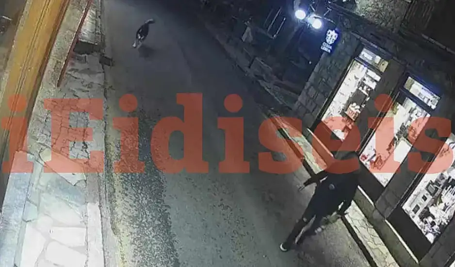 Αράχωβα: Αυτές είναι οι φωτογραφίες ντοκουμέντα με το χάσκι - Ψάχνουν τον άνδρα με την κουκούλα