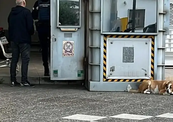Άγιοι Ανάργυροι: Για πρώτη φορά πιθανή η απόταξη αστυνομικού