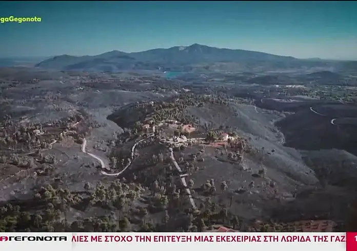 Φωτιά στην Αττική: Το 60% των καμμένων είχε ξανακαεί το 2009 - Ανυπολόγιστη οικολογική καταστροφή