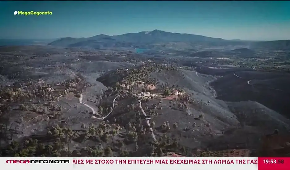 Φωτιά στην Αττική: Το 60% των καμμένων είχε ξανακαεί το 2009 - Ανυπολόγιστη οικολογική καταστροφή