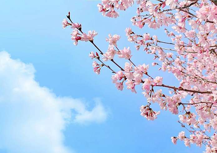 Ο τρόπος ζωής Wabi Sabi – Πώς να βρείτε την ευτυχία ακόμα και όταν τα πράγματα δεν είναι τέλεια