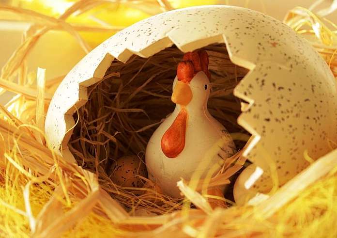 Η κότα έκανε το αυγό ή το αυγό την κότα; – Νέα έρευνα προσπαθεί να δώσει απάντηση στο αιώνιο ερώτημα