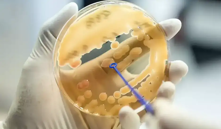 ECDC: Καμπανάκι για το υπερμεταδοτικό μικρόβιο κλεμπσιέλλα που προσβάλει και υγιείς οργανισμούς