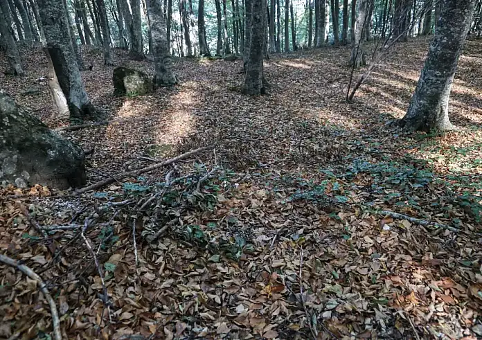 Εύβοια: Εργατικό δυστύχημα – Νεκρός 35χρονος δασεργάτης