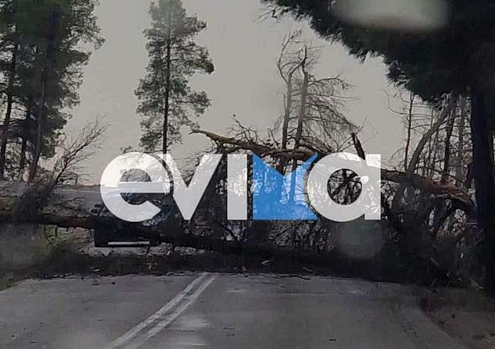 Κακοκαιρία Ciaran: Σοβαρά προβλήματα στη Βόρεια Εύβοια – Πέντε χωριά χωρίς ρεύμα