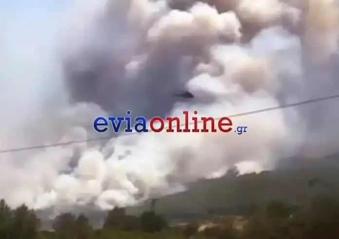 Φωτιά στην Εύβοια στην περιοχή Αφράτι: Δόθηκε εντολή εκκένωσης του οικισμού