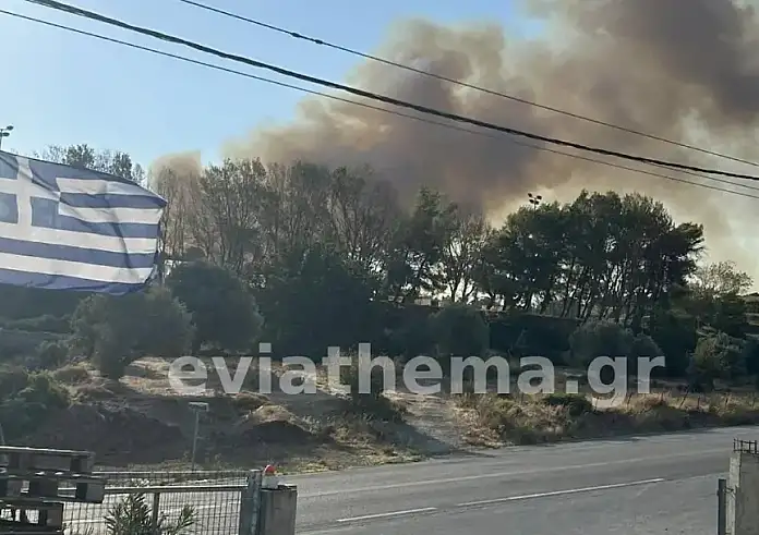 Υπό έλεγχο και οι δύο φωτιές στην Εύβοια