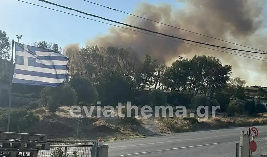 Υπό έλεγχο και οι δύο φωτιές στην Εύβοια