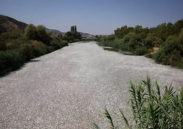 Απέραντη θάλασσα από νεκρά ψάρια στο Βόλο – Μαζεύτηκαν περισσότεροι από 57 τόνοι