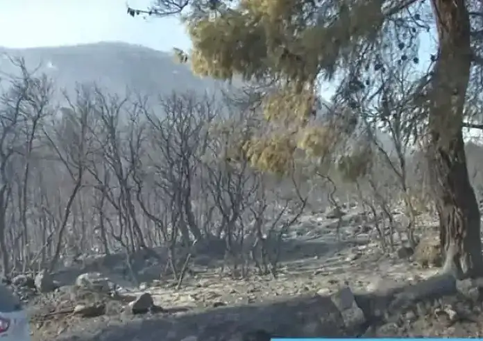 Αδελφή του θύματος της φωτιάς: Άφησε 3 παιδιά - Ο φίλος του θα αποκτούσε το 3ο σε 20 μέρες