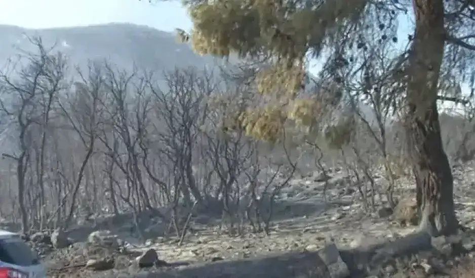 Αδελφή του θύματος της φωτιάς: Άφησε 3 παιδιά - Ο φίλος του θα αποκτούσε το 3ο σε 20 μέρες