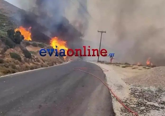 Φωτιά στην Εύβοια - Αντιπεριφερειαρχης: Η κατάσταση είναι ανεξέλεγκτη - Εκκενώθηκαν χωριά – Στις παραλίες ο κόσμος