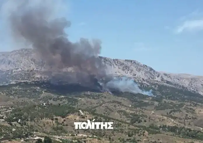 Χίος: Κάηκαν 270 στρέμματα, δάσος και καλλιέργειες από την μεγάλη φωτιά στις Καρυές