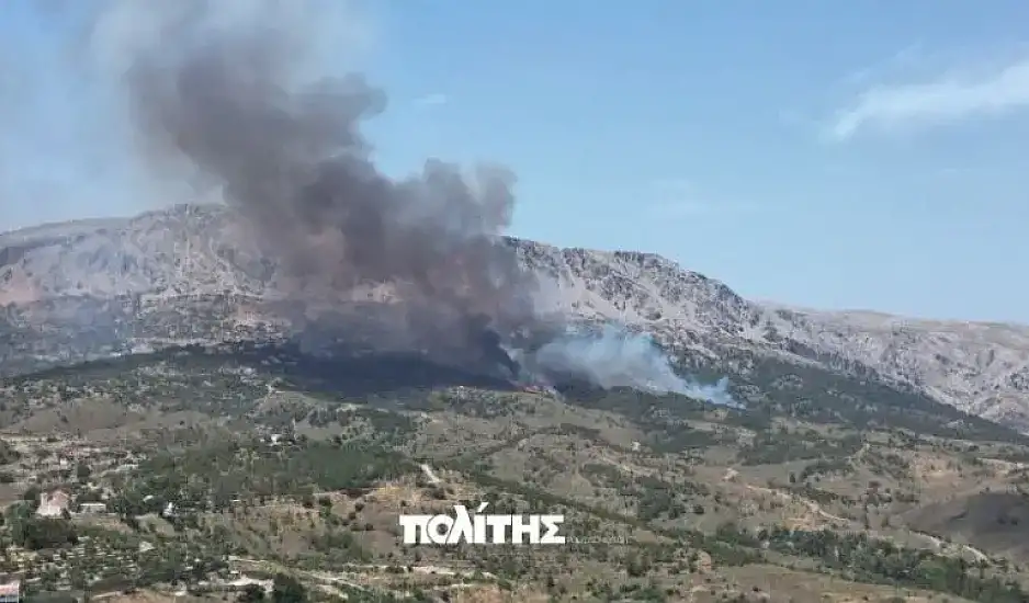 Χίος: Κάηκαν 270 στρέμματα, δάσος και καλλιέργειες από την μεγάλη φωτιά στις Καρυές