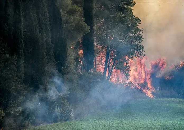Ανεξέλεγκτη η φωτιά στην Ηλεία: Τρία πύρινα μέτωπα σε Γεράκι, Πανόπουλο και Μανωλάδα – Κάηκαν σπίτια, ήχησε το 112
