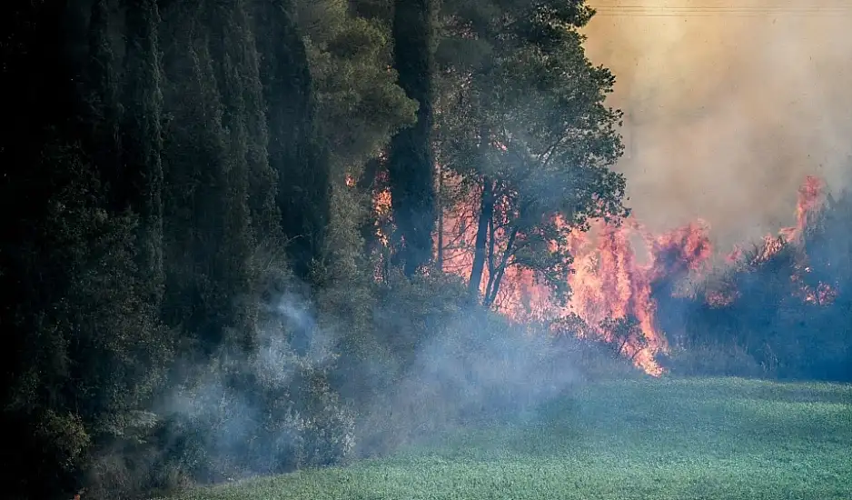 Ανεξέλεγκτη η φωτιά στην Ηλεία: Τρία πύρινα μέτωπα σε Γεράκι, Πανόπουλο και Μανωλάδα – Κάηκαν σπίτια, ήχησε το 112