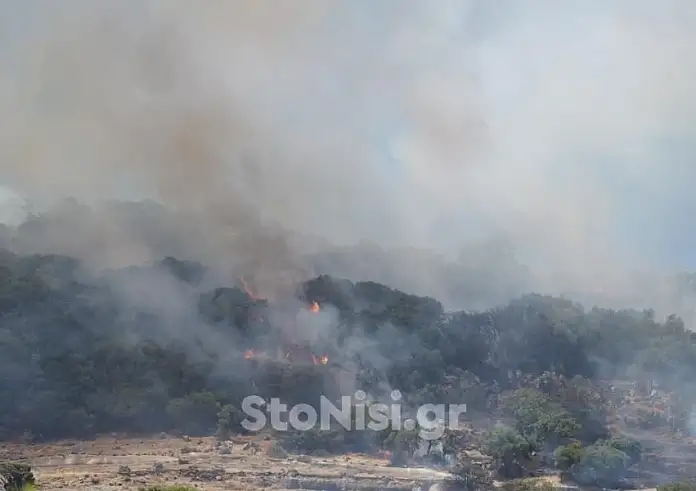 Φωτιά στην Λέσβο: Ανεξέλεγκτη η φωτιά σε δασική έκταση  – Βίντεο από το πύρινο μέτωπο