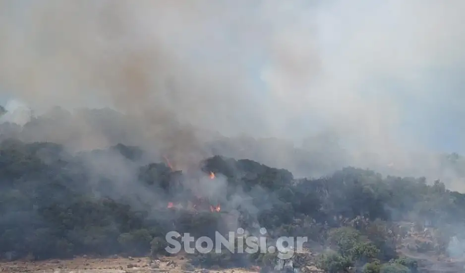 Φωτιά στην Λέσβο: Ανεξέλεγκτη η φωτιά σε δασική έκταση  – Βίντεο από το πύρινο μέτωπο