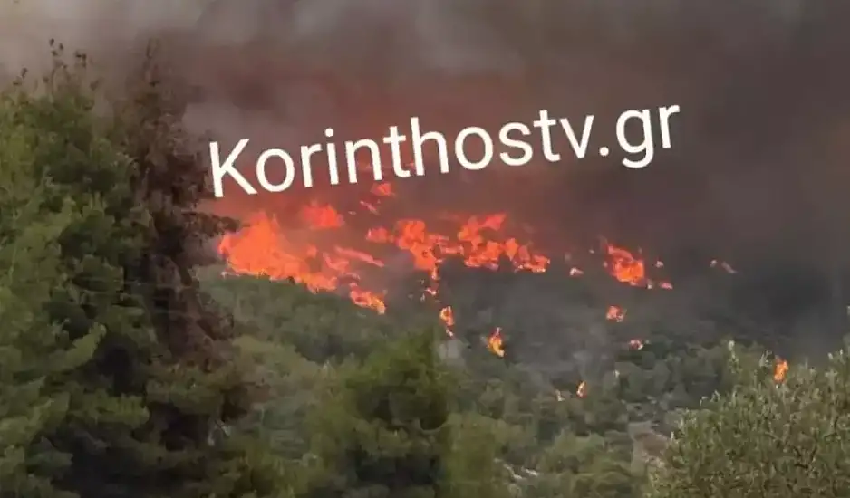 Φωτιές στην Κορινθία: Διπλό πύρινο μέτωπο σε Αμμώνι και Εξαμίλια – Τραυματίστηκε πυροσβέστης