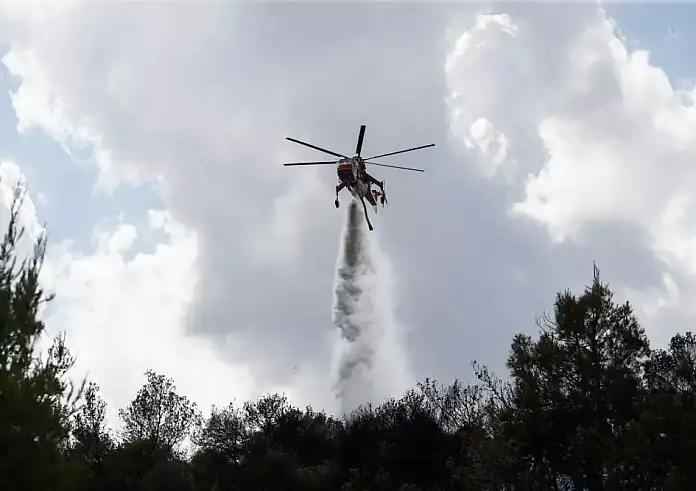 Τραγωδία στη Λέσβο: Από αυτοκίνητο που τράκαρε σε δέντρο η φωτιά - Νεκρός ο ηλικιωμένος οδηγός του