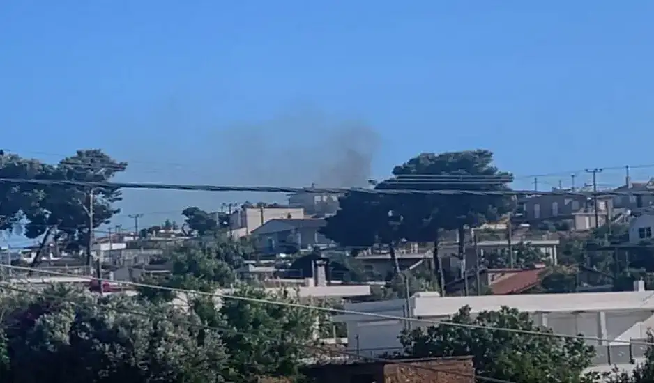 Φωτιά στη Νέα Μάκρη – Μήνυμα από το 112