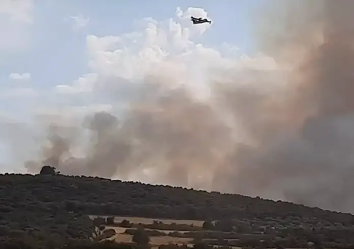 Φωτιά στη Νιγρίτα Σερρών, επίγειες και εναέριες δυνάμεις στο σημείο