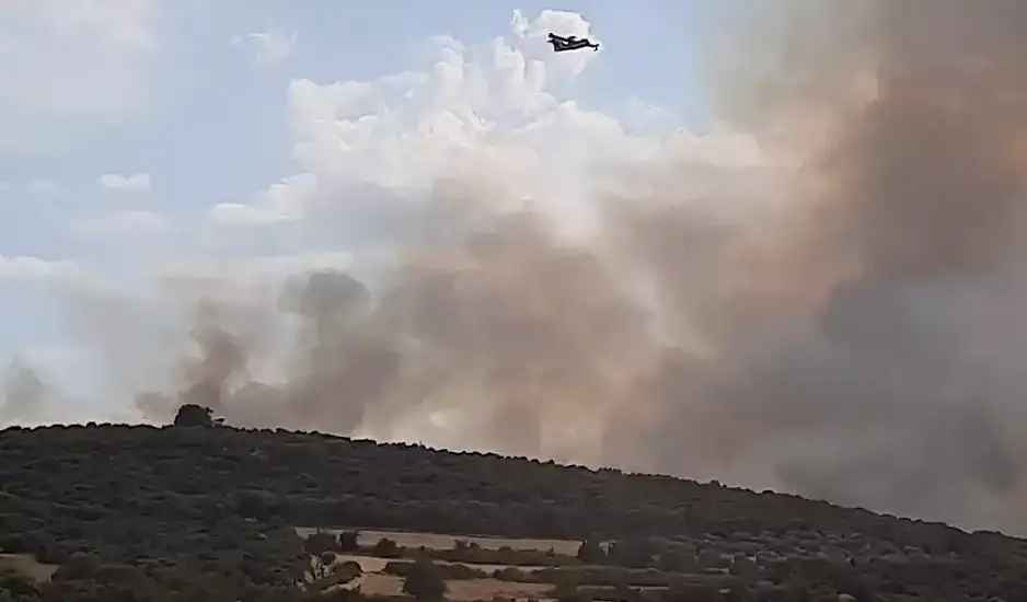 Φωτιά στη Νιγρίτα Σερρών, επίγειες και εναέριες δυνάμεις στο σημείο