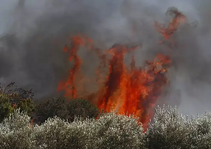 45 φωτιές και δεκάδες μηνύματα 112 σε λίγες ώρες σήμερα – Μέσα σε χωριά οι φλόγες στη Μεγαλόπολη – Η εικόνα στα υπόλοιπα «μέτωπα»