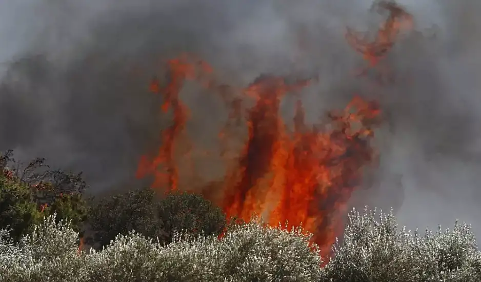 45 φωτιές και δεκάδες μηνύματα 112 σε λίγες ώρες σήμερα – Μέσα σε χωριά οι φλόγες στη Μεγαλόπολη – Η εικόνα στα υπόλοιπα «μέτωπα»