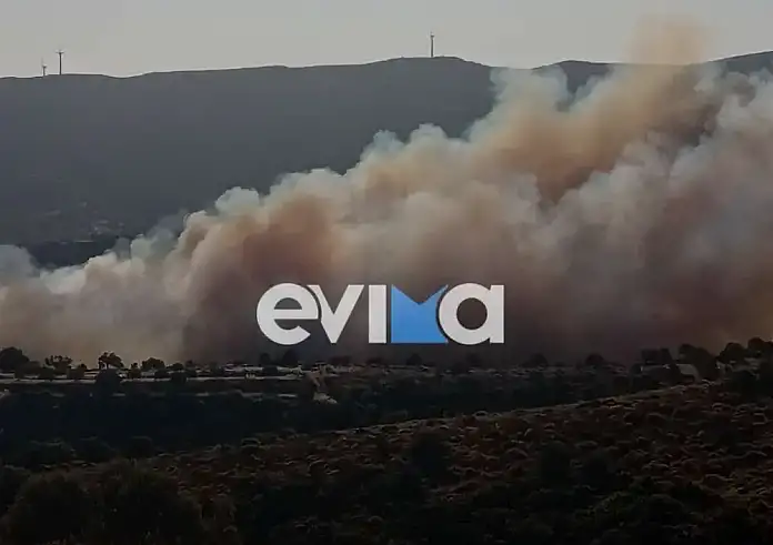 Δύο φωτιές στην Εύβοια το πρωί του Σαββάτου – Μεγάλη κινητοποίηση για την κατάσβεσή τους