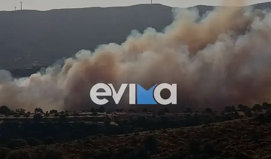 Δύο φωτιές στην Εύβοια το πρωί του Σαββάτου – Μεγάλη κινητοποίηση για την κατάσβεσή τους