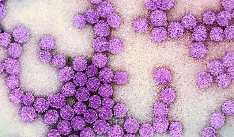 Πώς συνδέεται ο ιός των κονδυλωμάτων (HPV) με προβλήματα στην καρδιά
